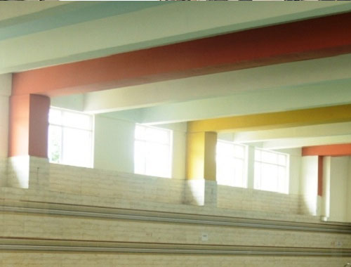 School Swimming Pool in Patna