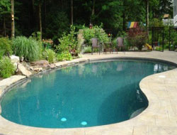 Bean Shaped Pool Manufacturer in Patna