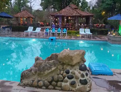 Competition Swimming Pools Manufacturer in Patna