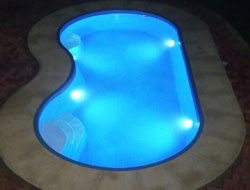 Bean Shaped Pool Manufacturer in Patna