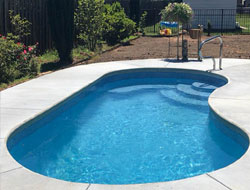 Kidney Shaped Swimming Pools Manufacturer in Patna