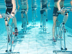 Wetfit Aqua Gym Manufacturer in Patna